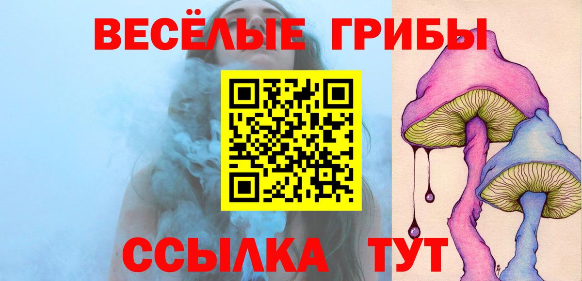 Унеча  Галлюциногенные грибы мицелий  Вход с VPN 
